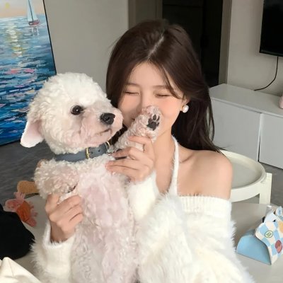 追星星的人第三季